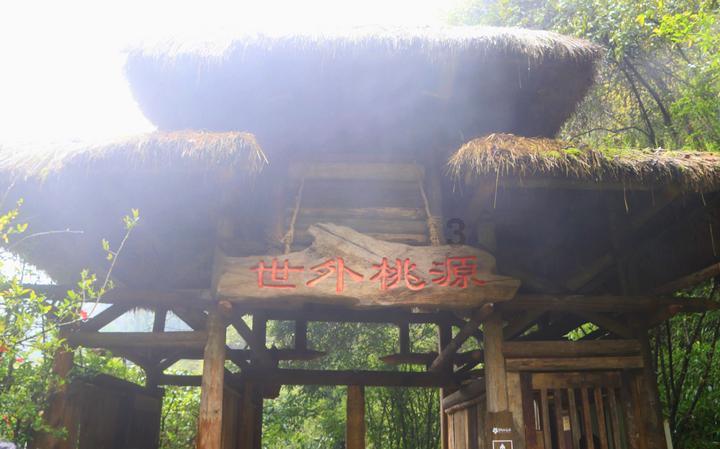 竞技宝如何